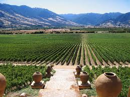 Chile hy vá»ng Ä‘á»©ng Ä‘áº§u báº£ng rÆ°á»£u vang á»Ÿ Viá»‡t Nam